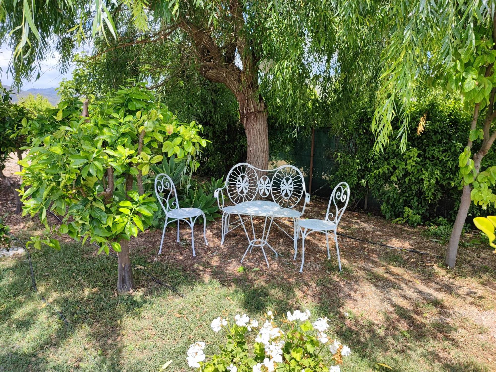 Els Tarongers Perfect For Families Or Friends Hébergement de vacances